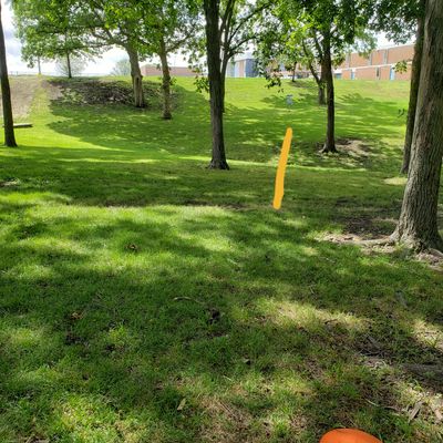 Hole 7 - 133'