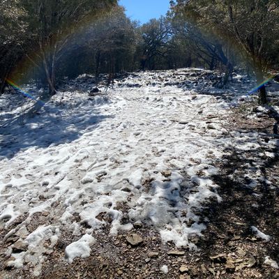 First day after the thaw.