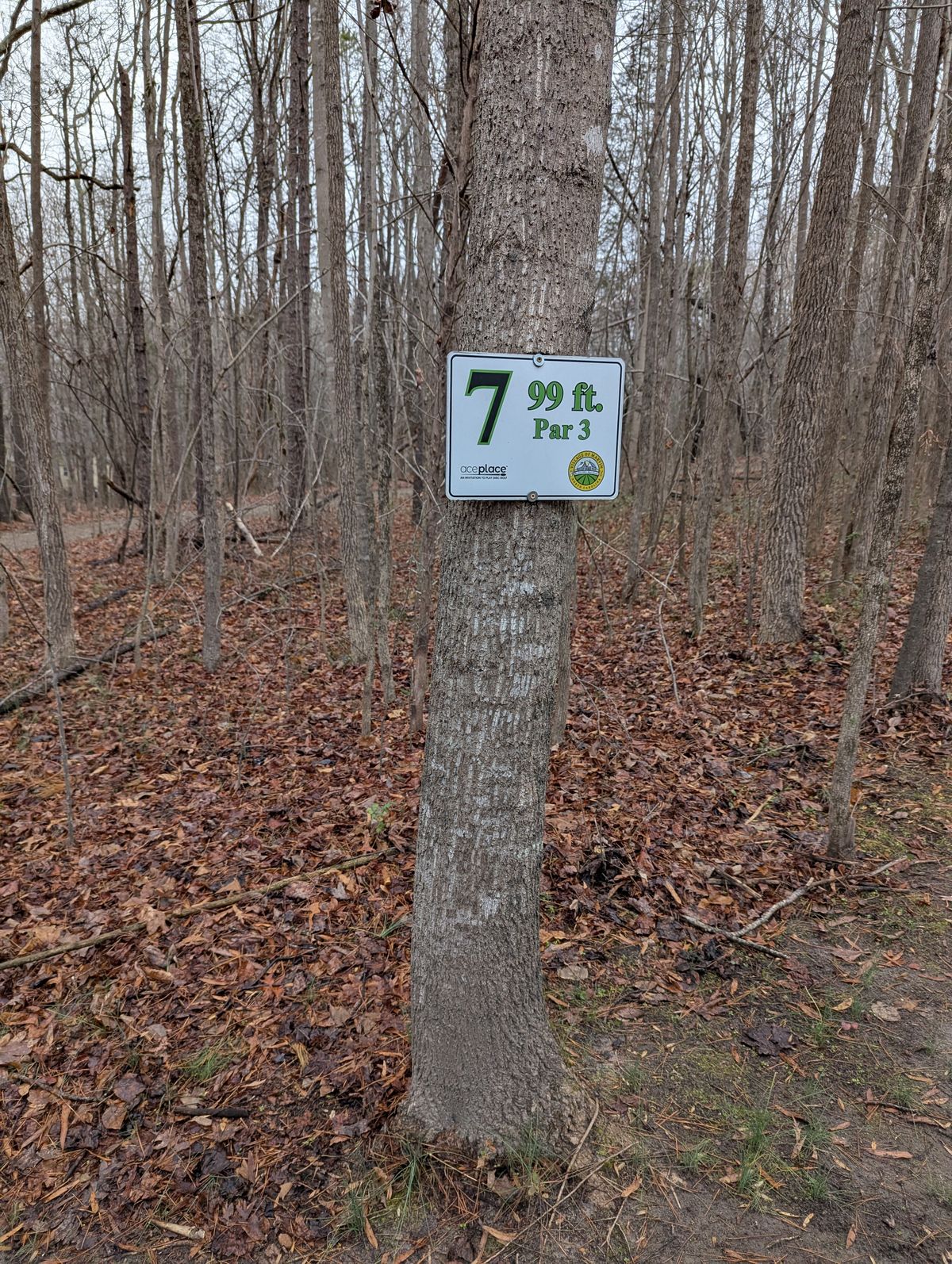 Hole 7