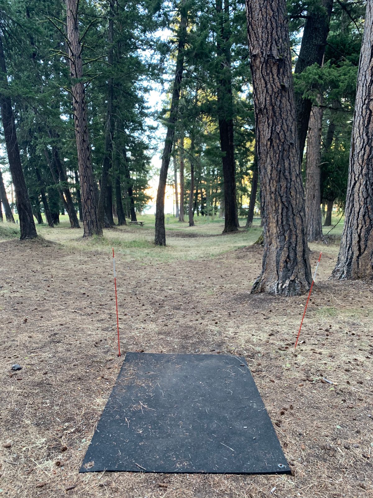 Hole #7