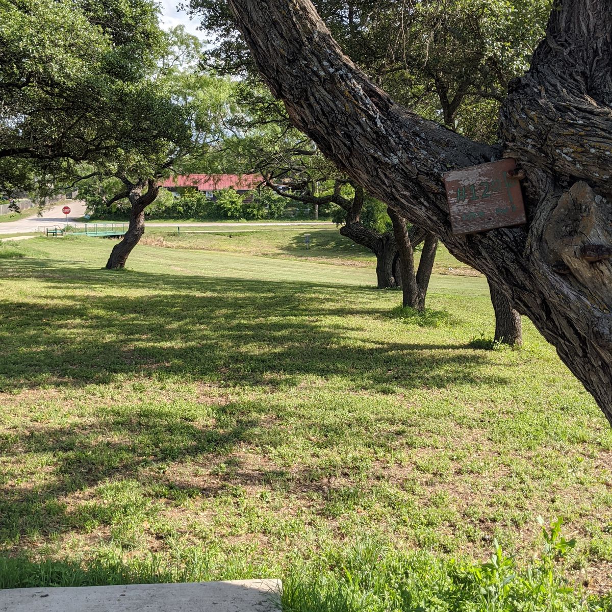 Hole 12 from tee to basket.