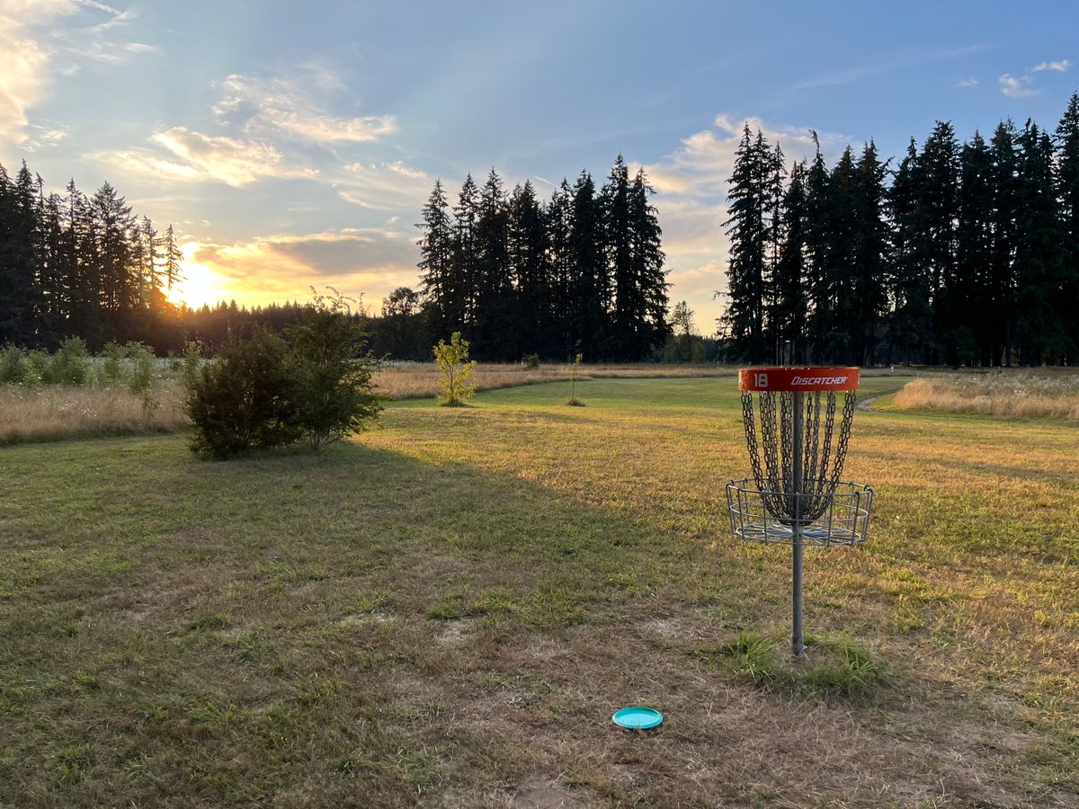 18 basket looking back to tee