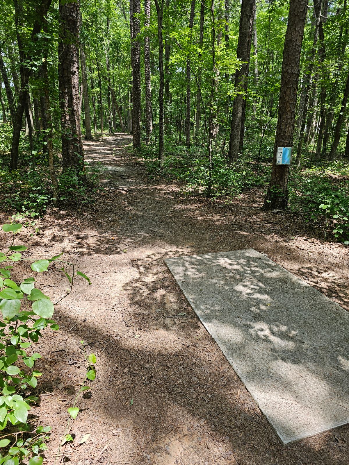 Hole 17