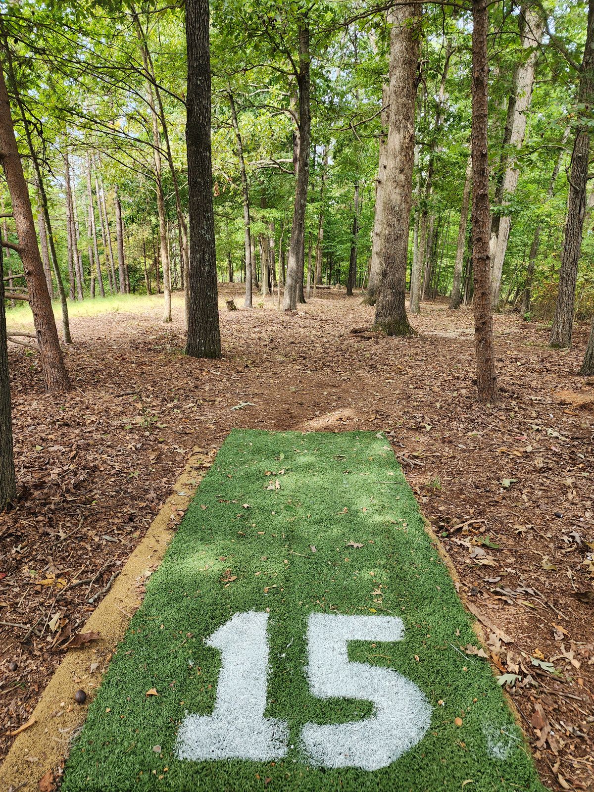 Hole 15 tee