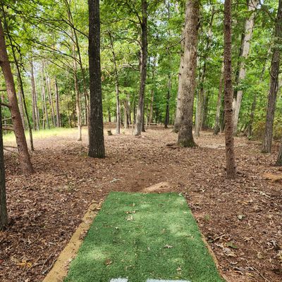 Hole 15 tee