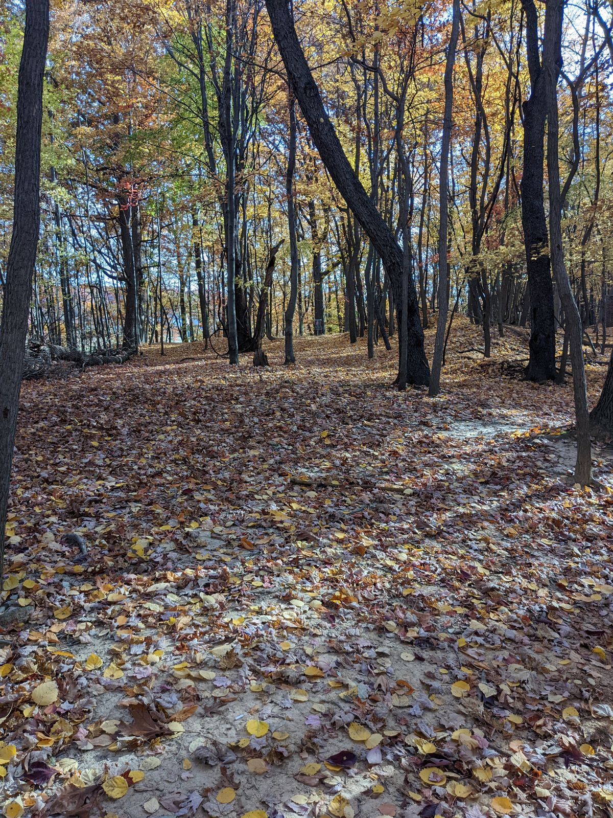Hole 16 approach 