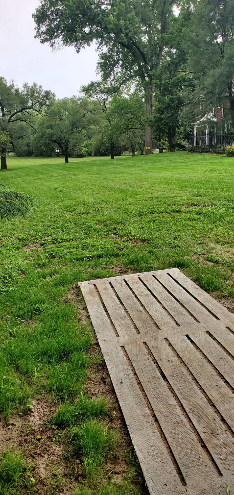 Hole 8 tee pad