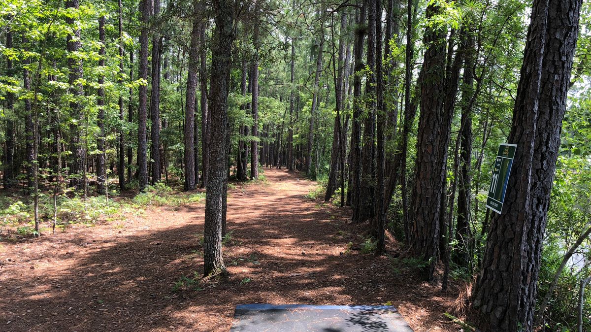 Hole 11