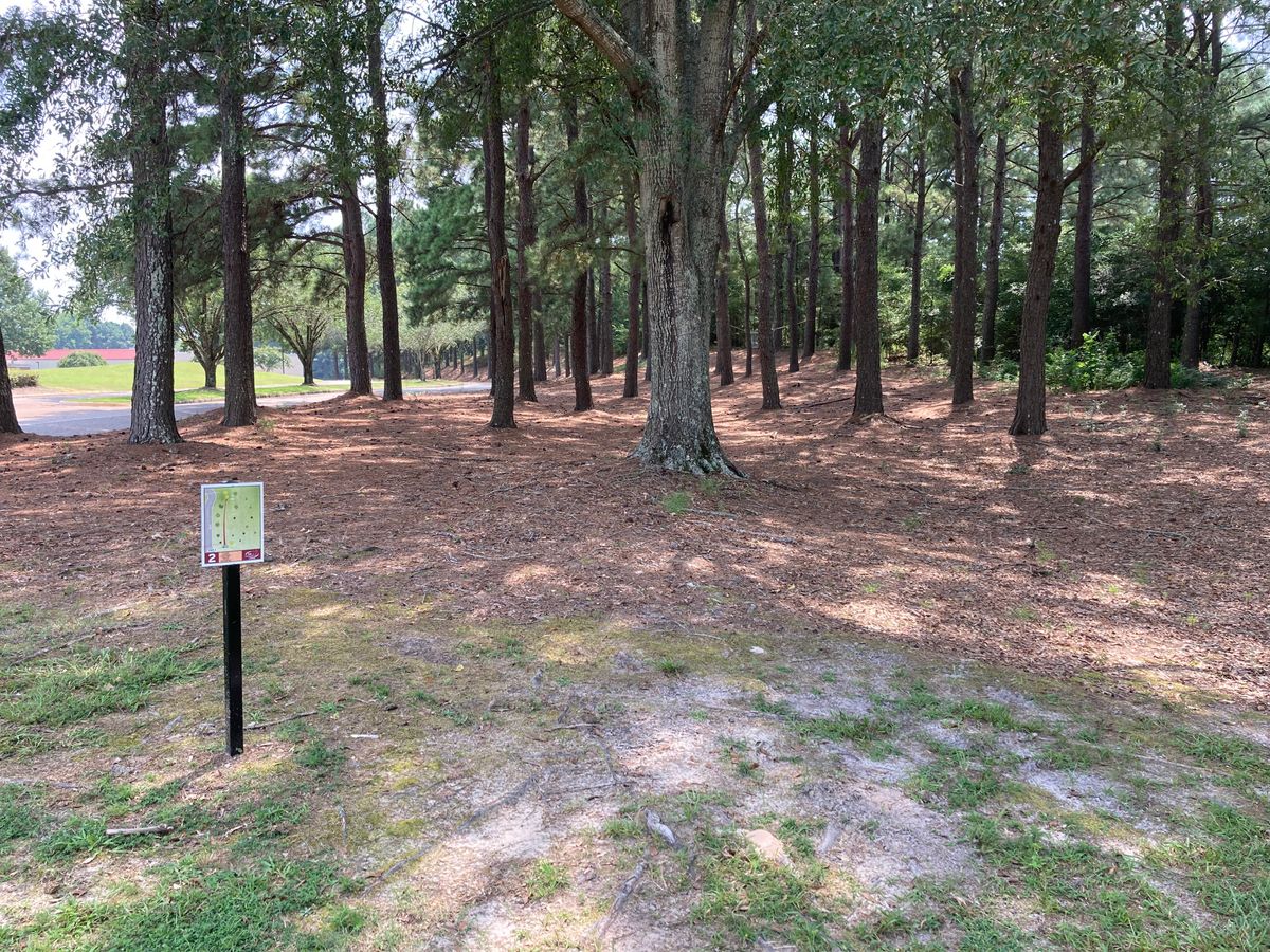 Hole 2 View