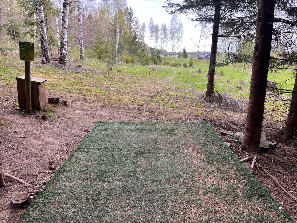 Tee 13