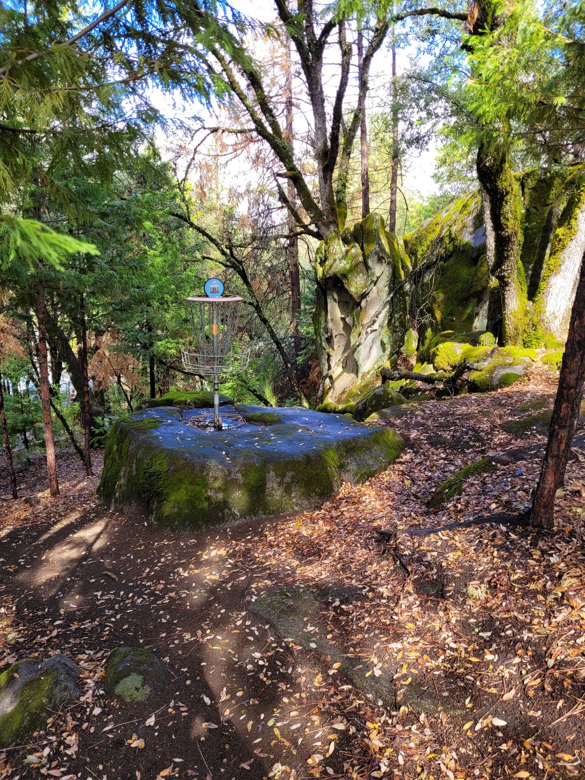 Hole 1 Basket