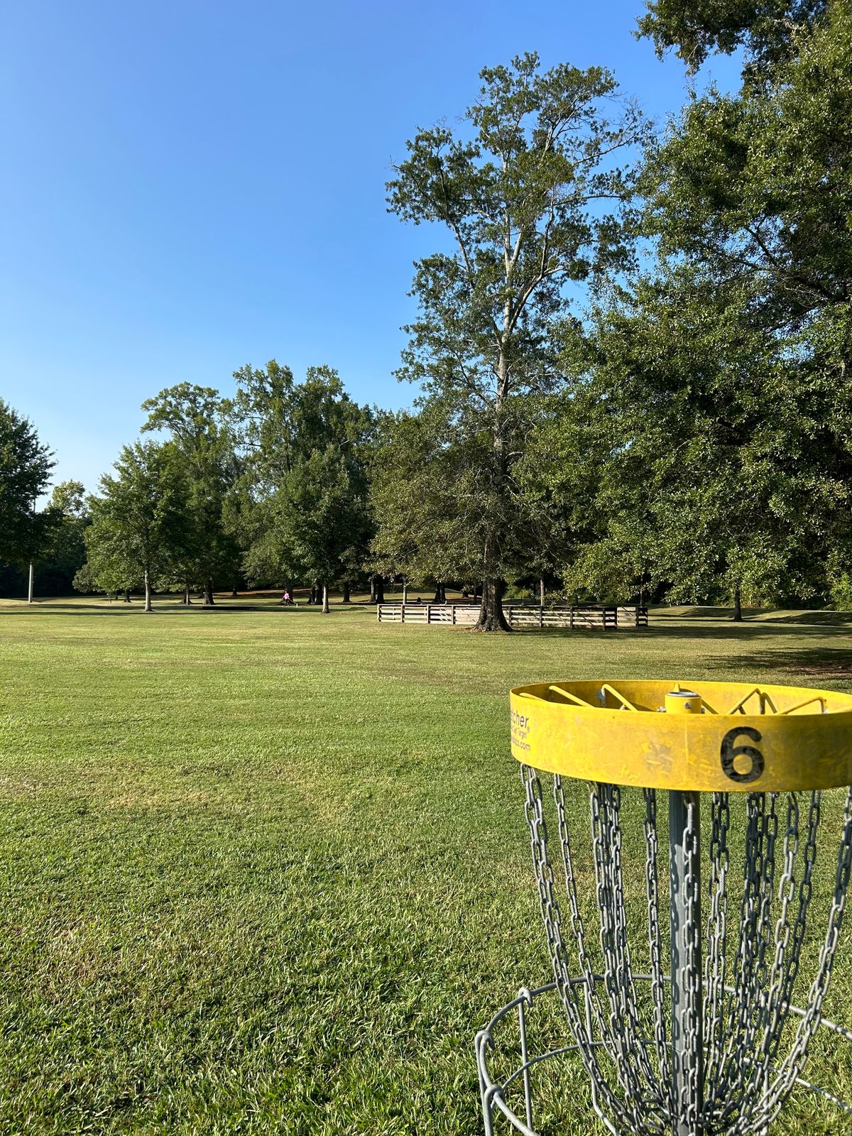 Hole 6 Basket
