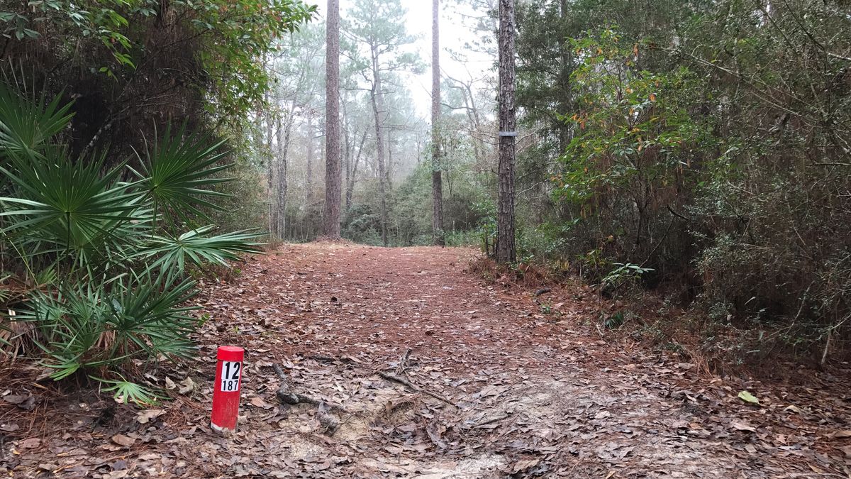 Hole 12