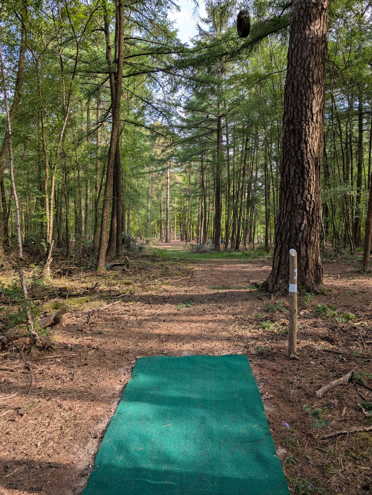 White hole 1