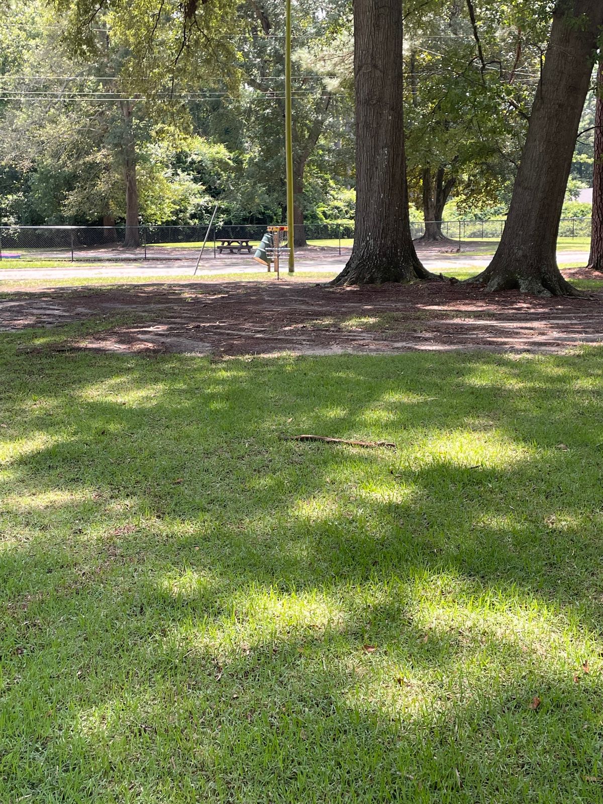 Approach to the basket from White/Red Tee 