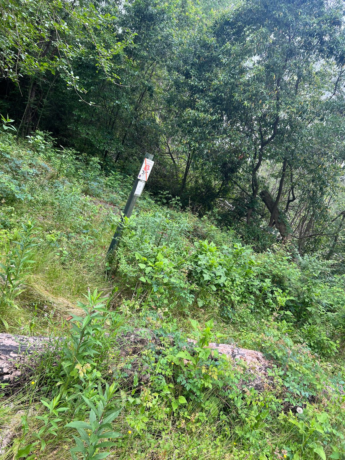 Tee pad for 16 inaccessible