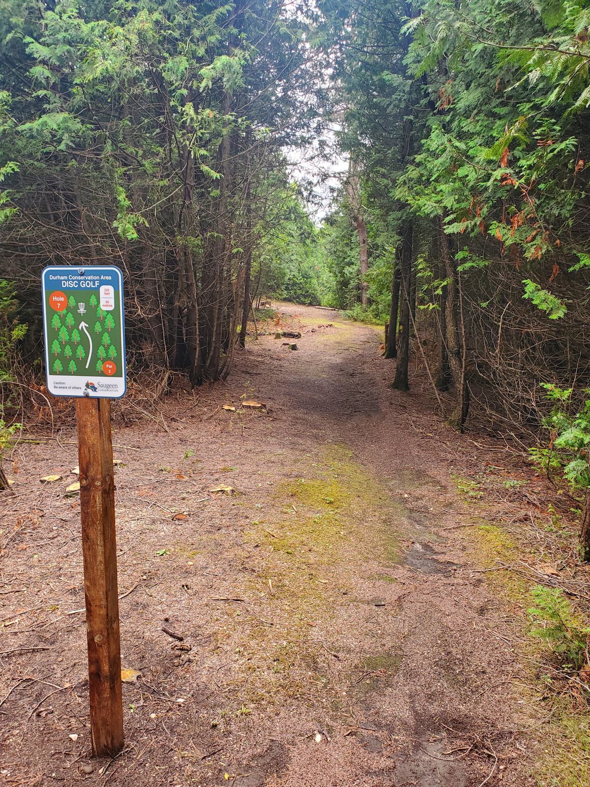 Hole 7