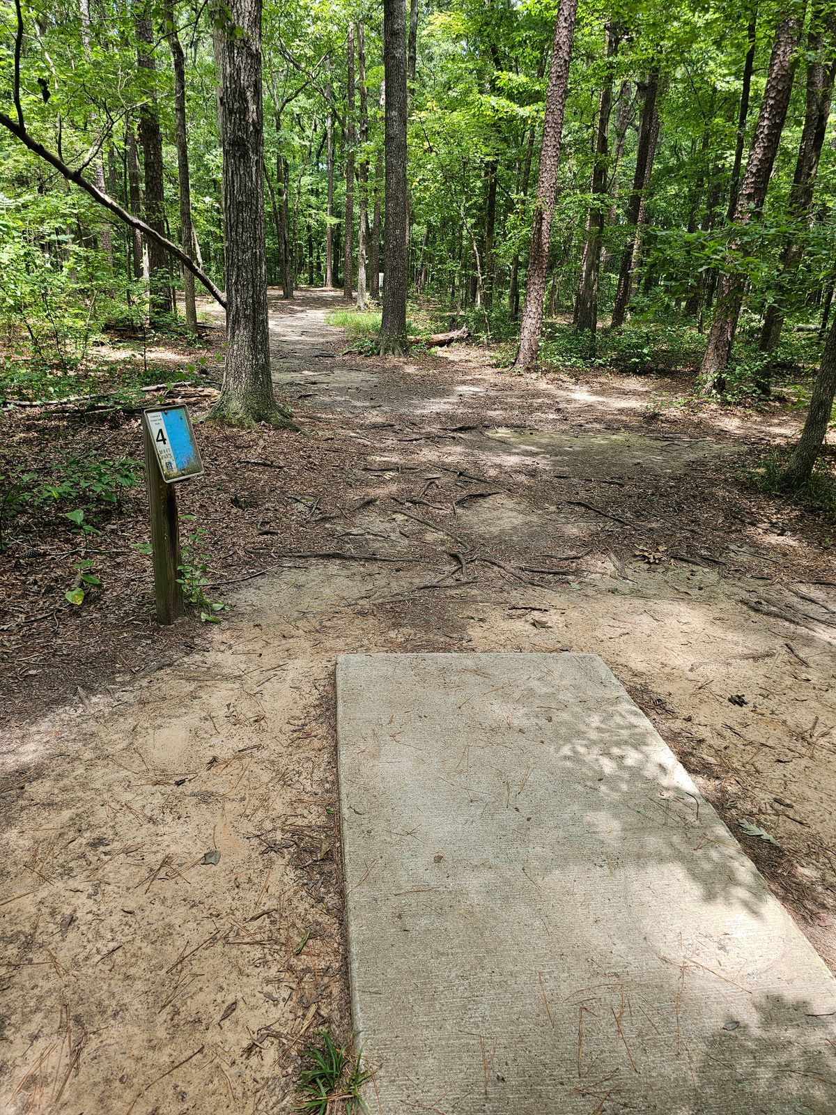 Hole 4