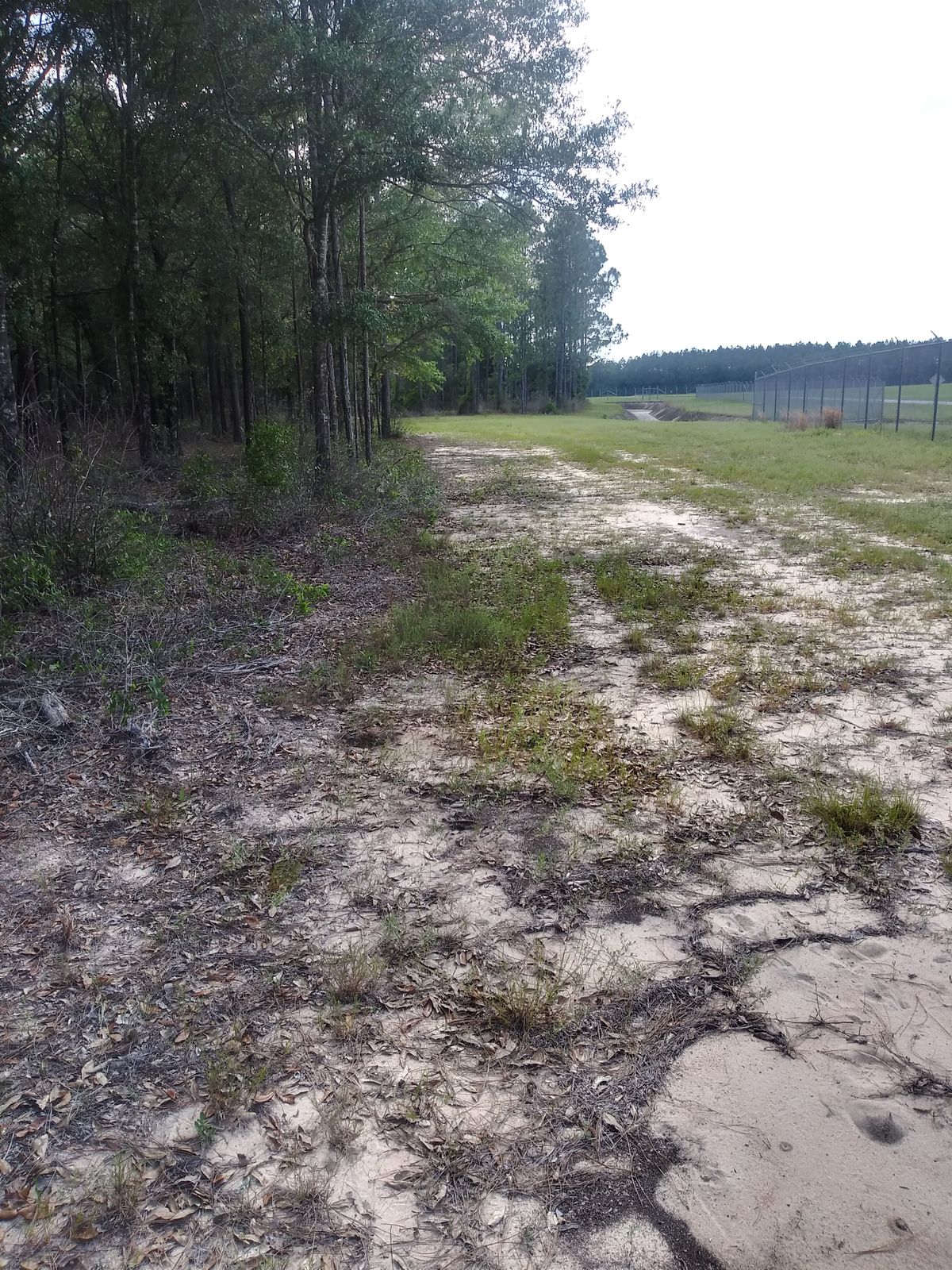 8th fairway
