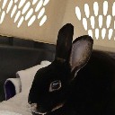 User avatar image
