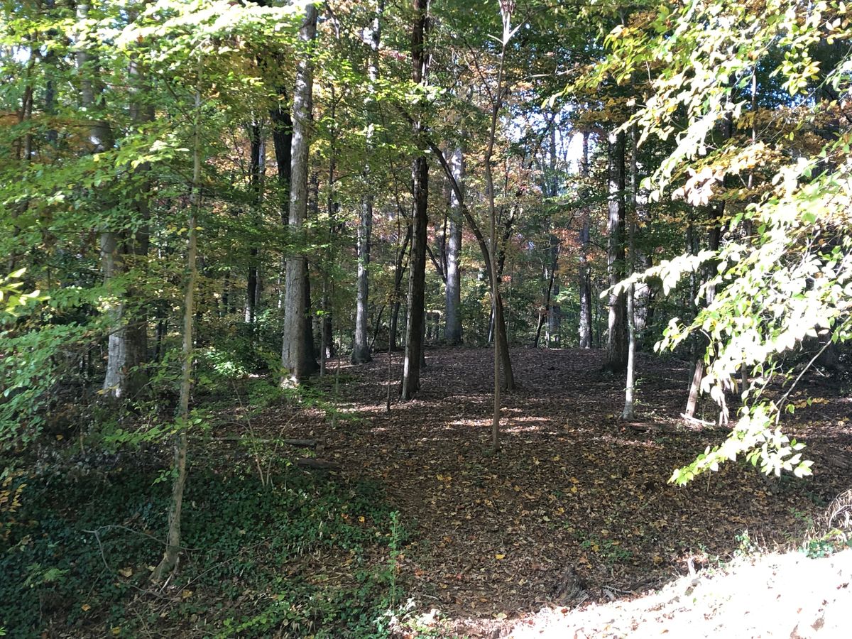 #13 Black Fairway to the Right.