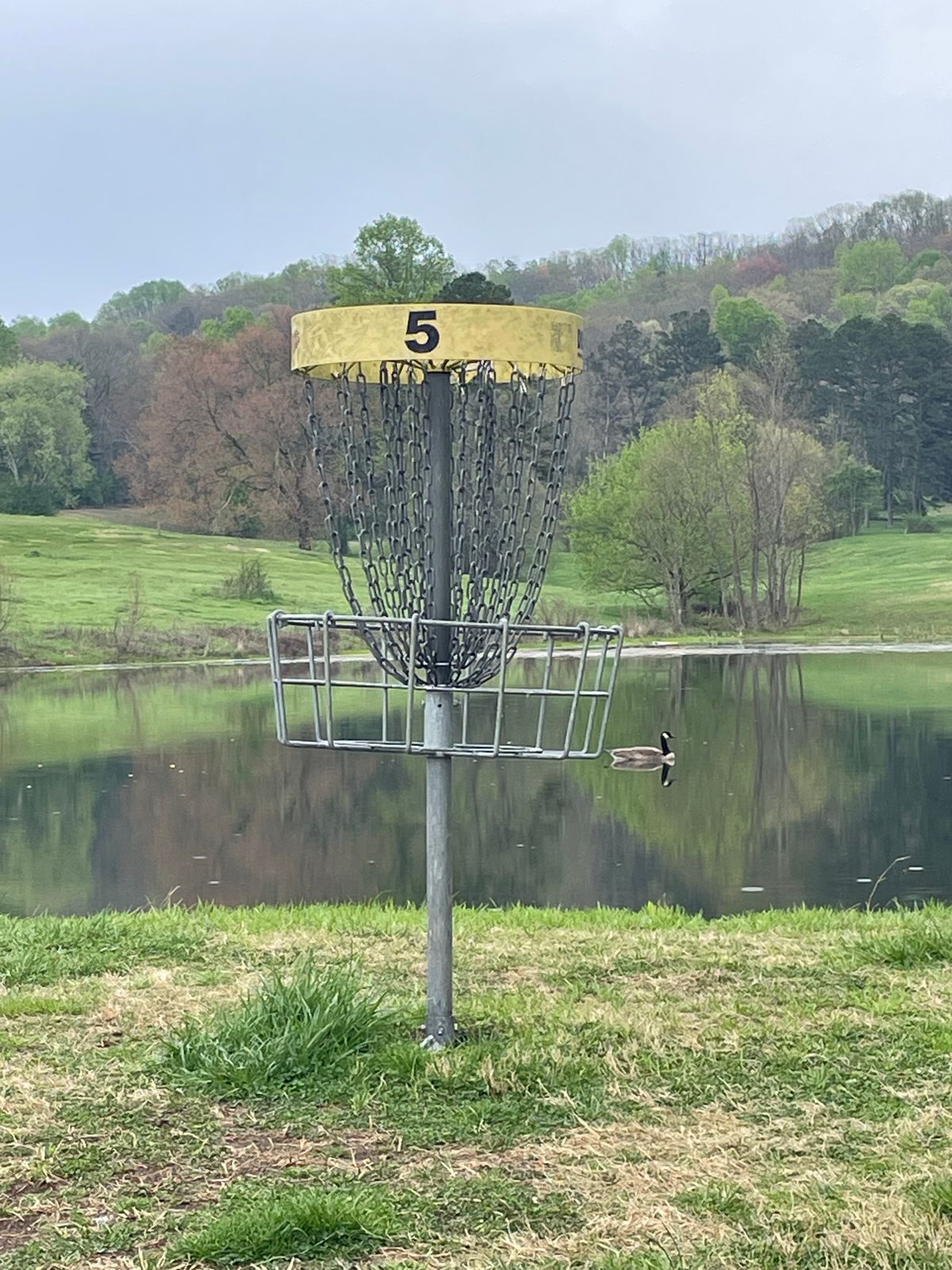 The basket at hole 5 about ten feet away from the water.