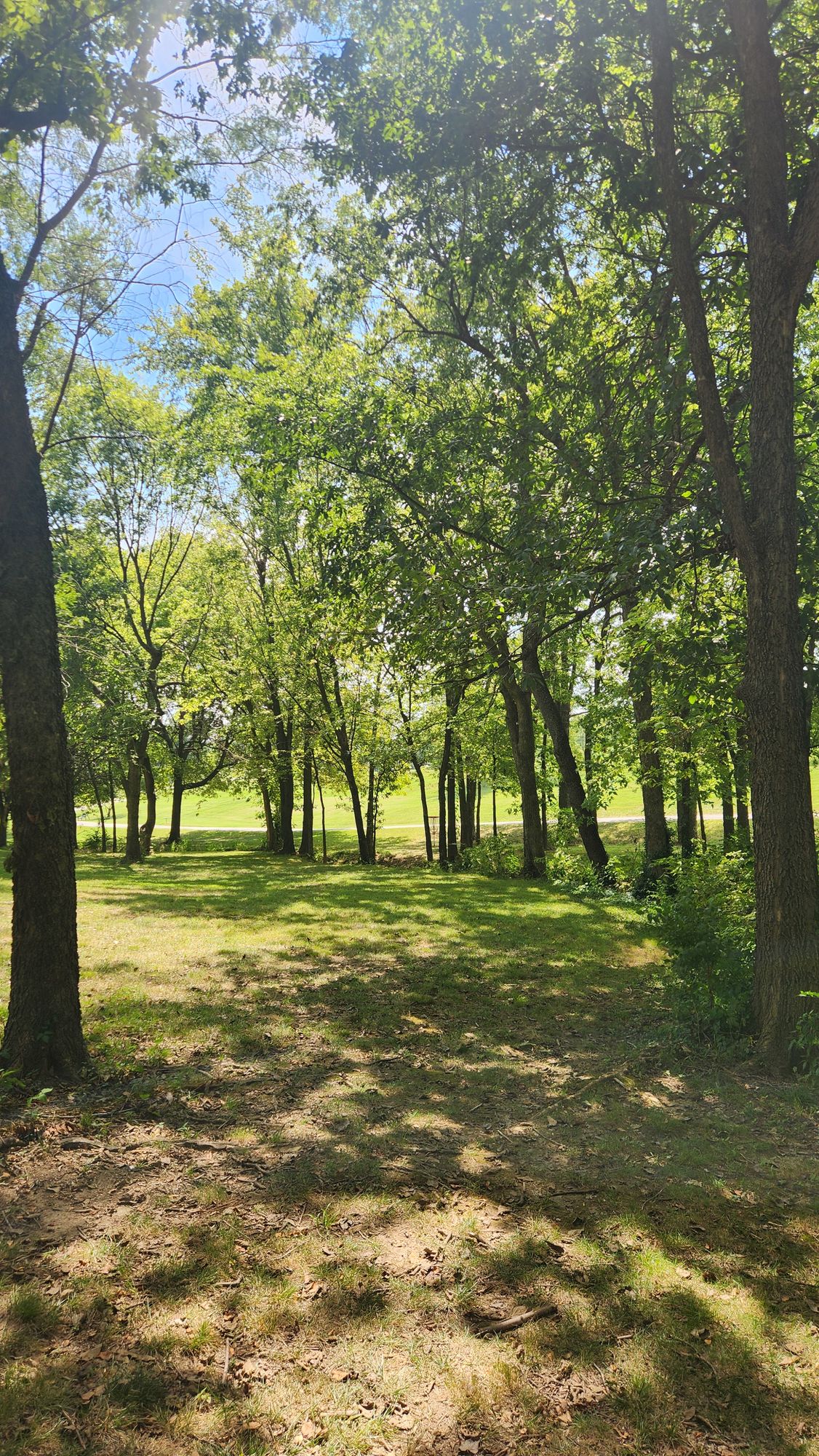 Hole 7 Fairway