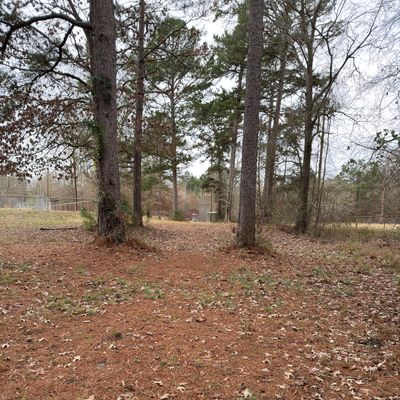 Hole 4, basket down short tunnel of trees