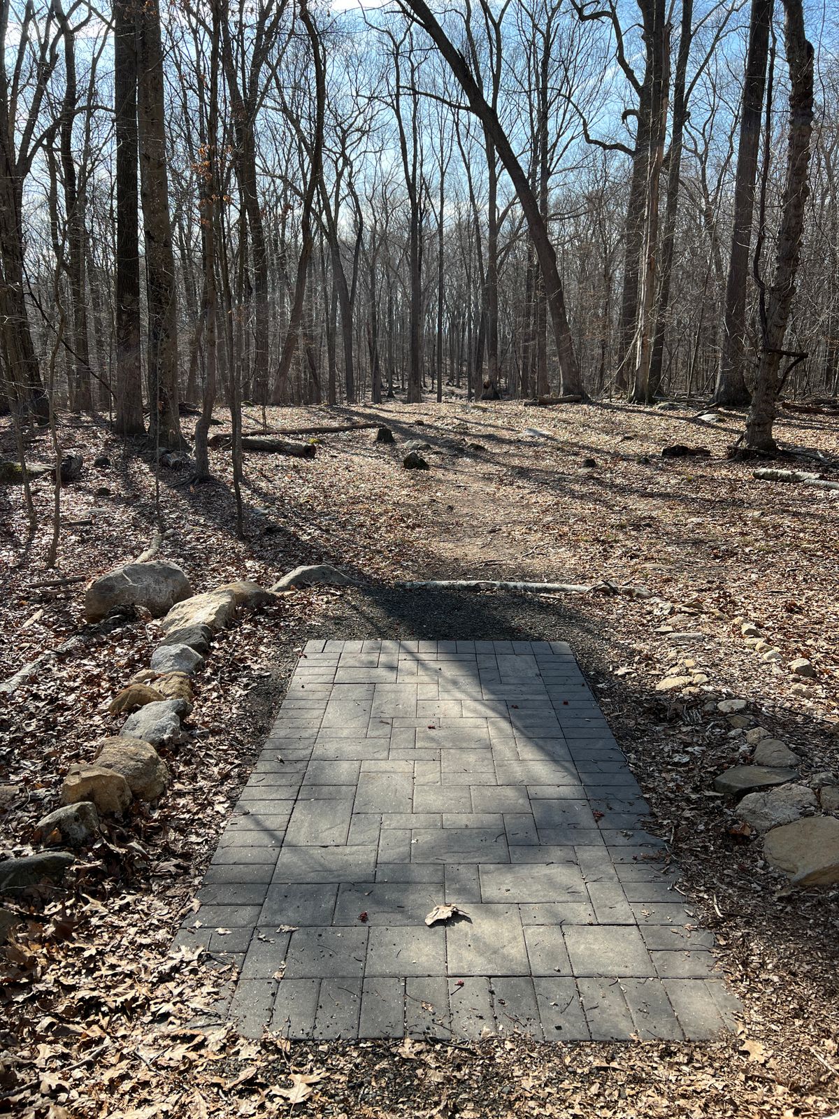 Tee Box #13