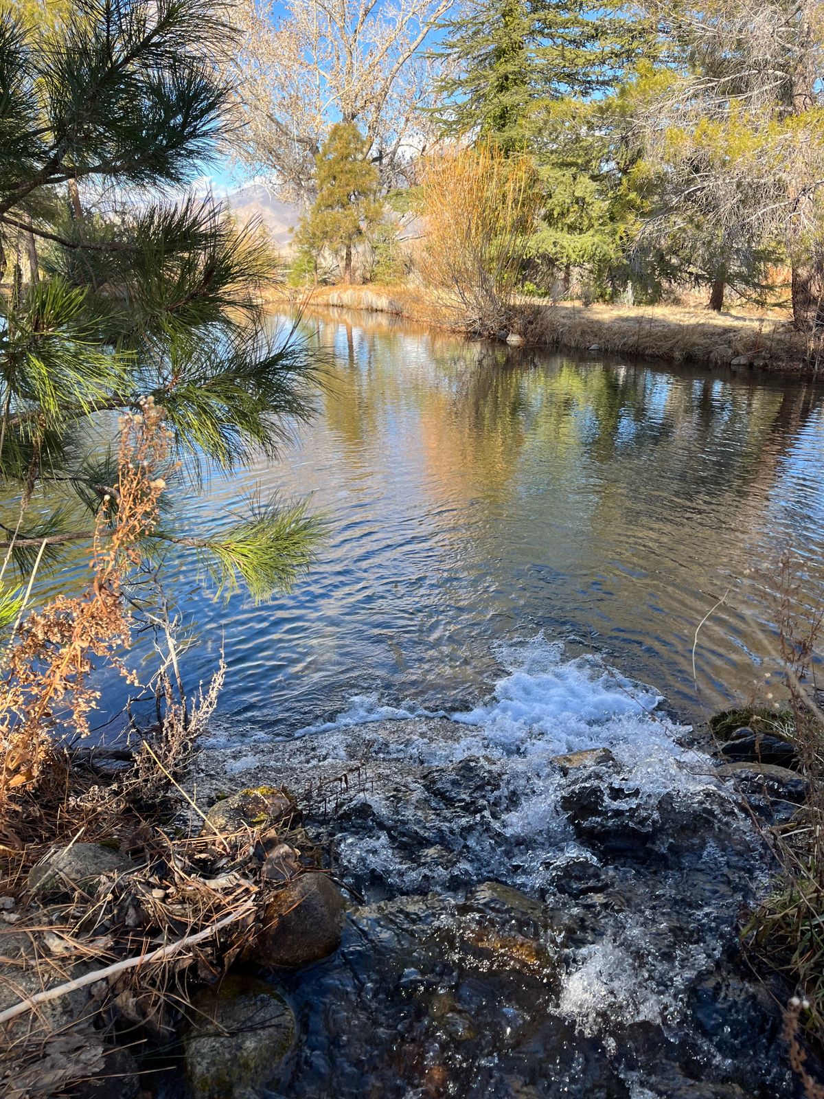 Scenic pond