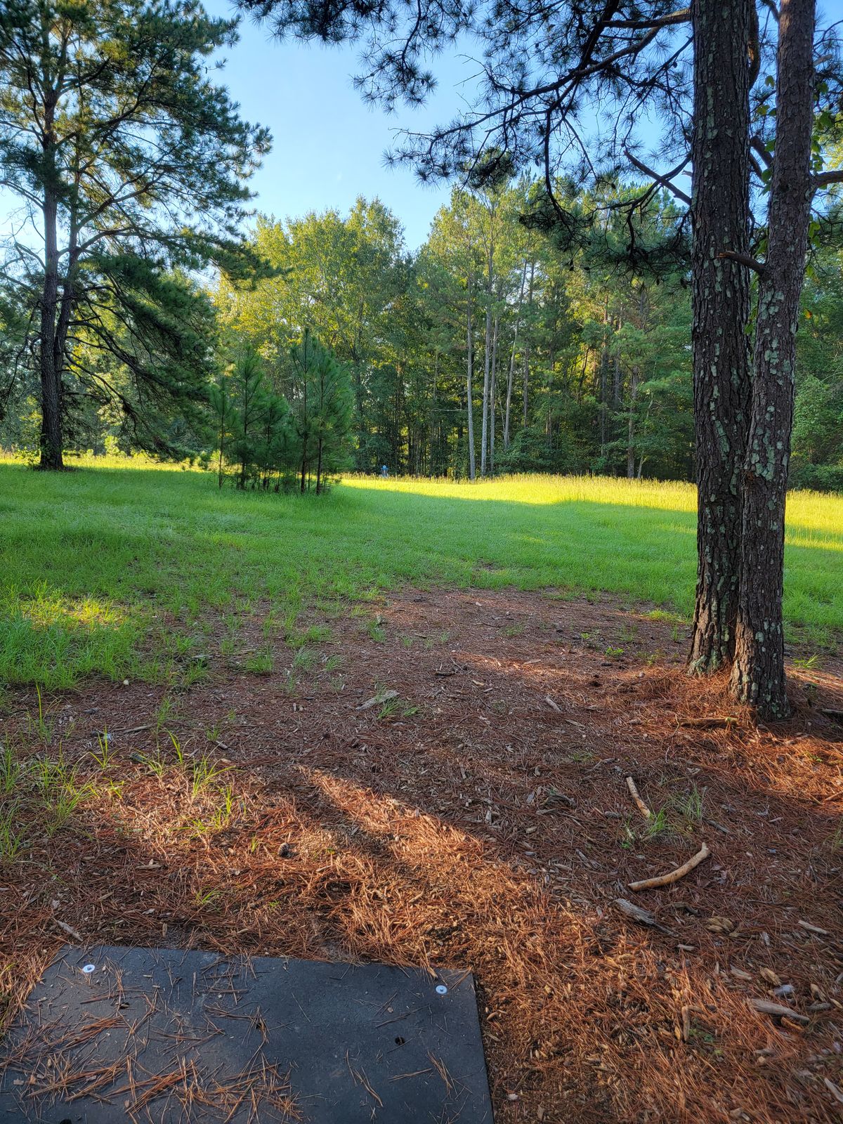 hole 5...short straight up shot