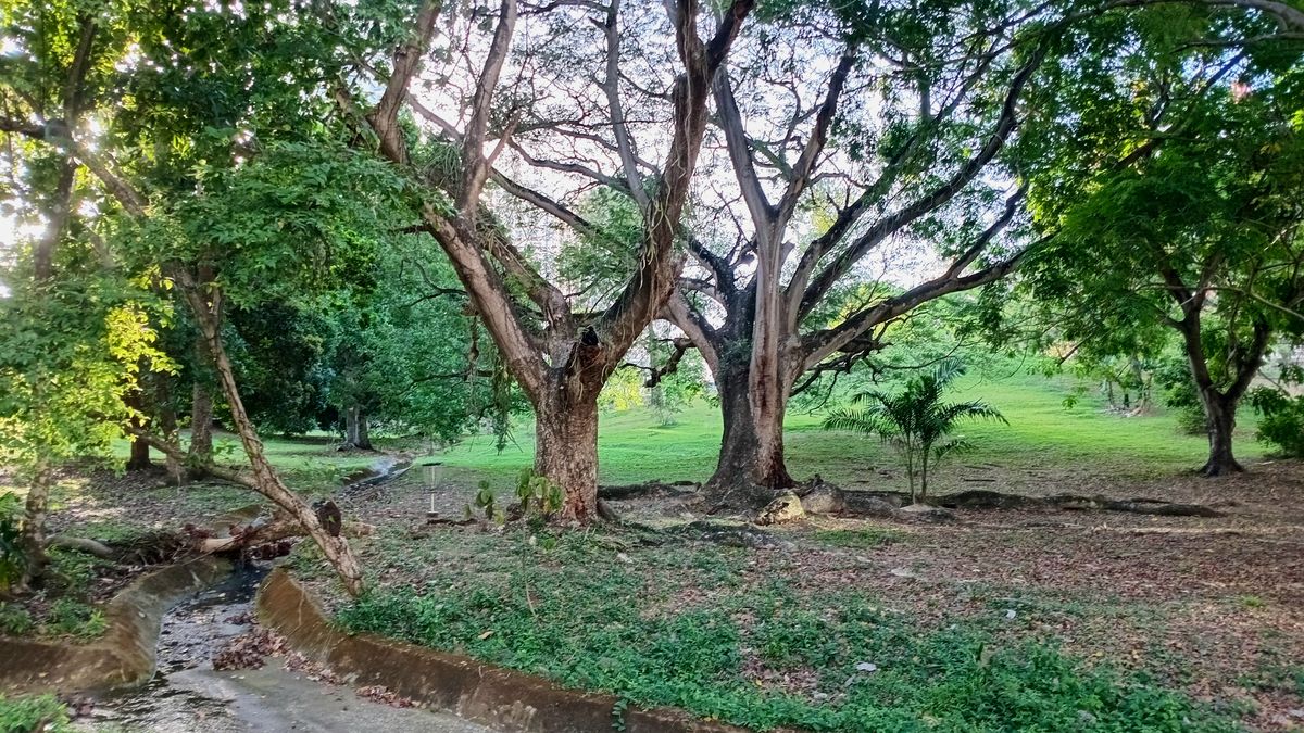 Parque Omar DG Course
Hole 6 Target