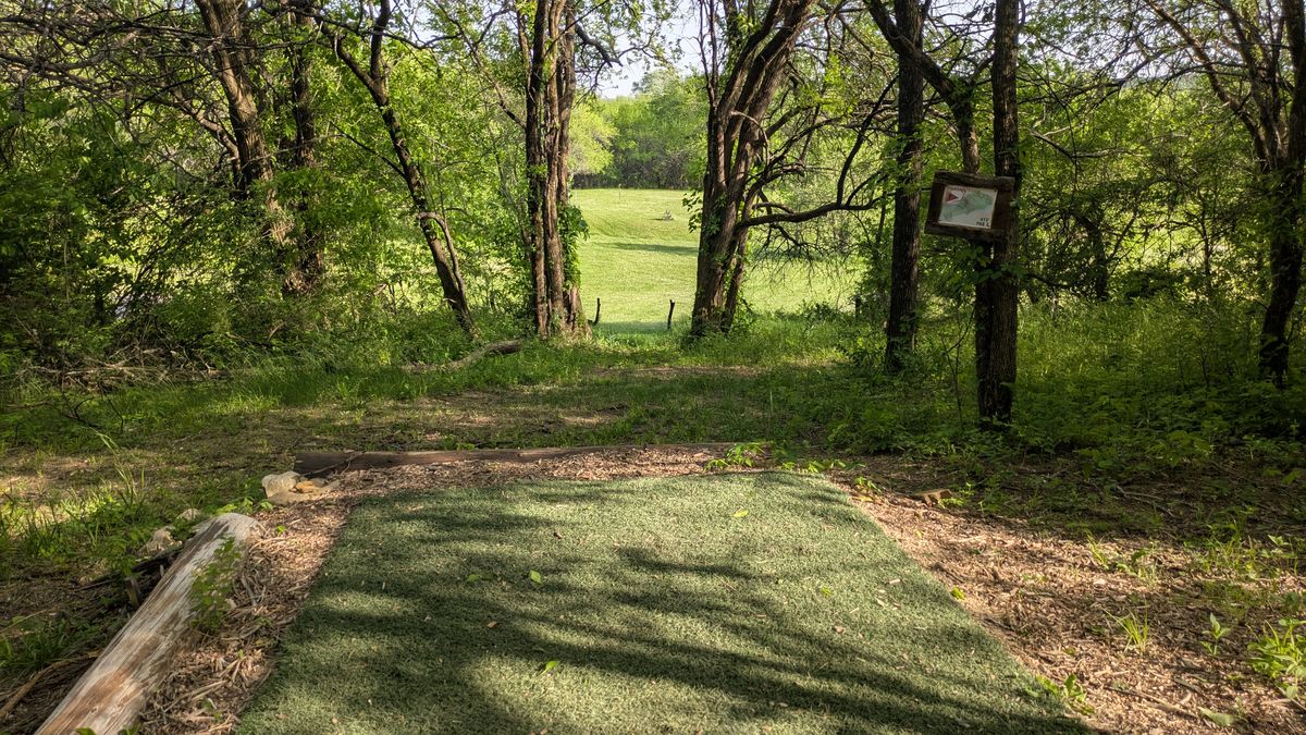 Tee #7