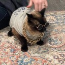 User avatar image