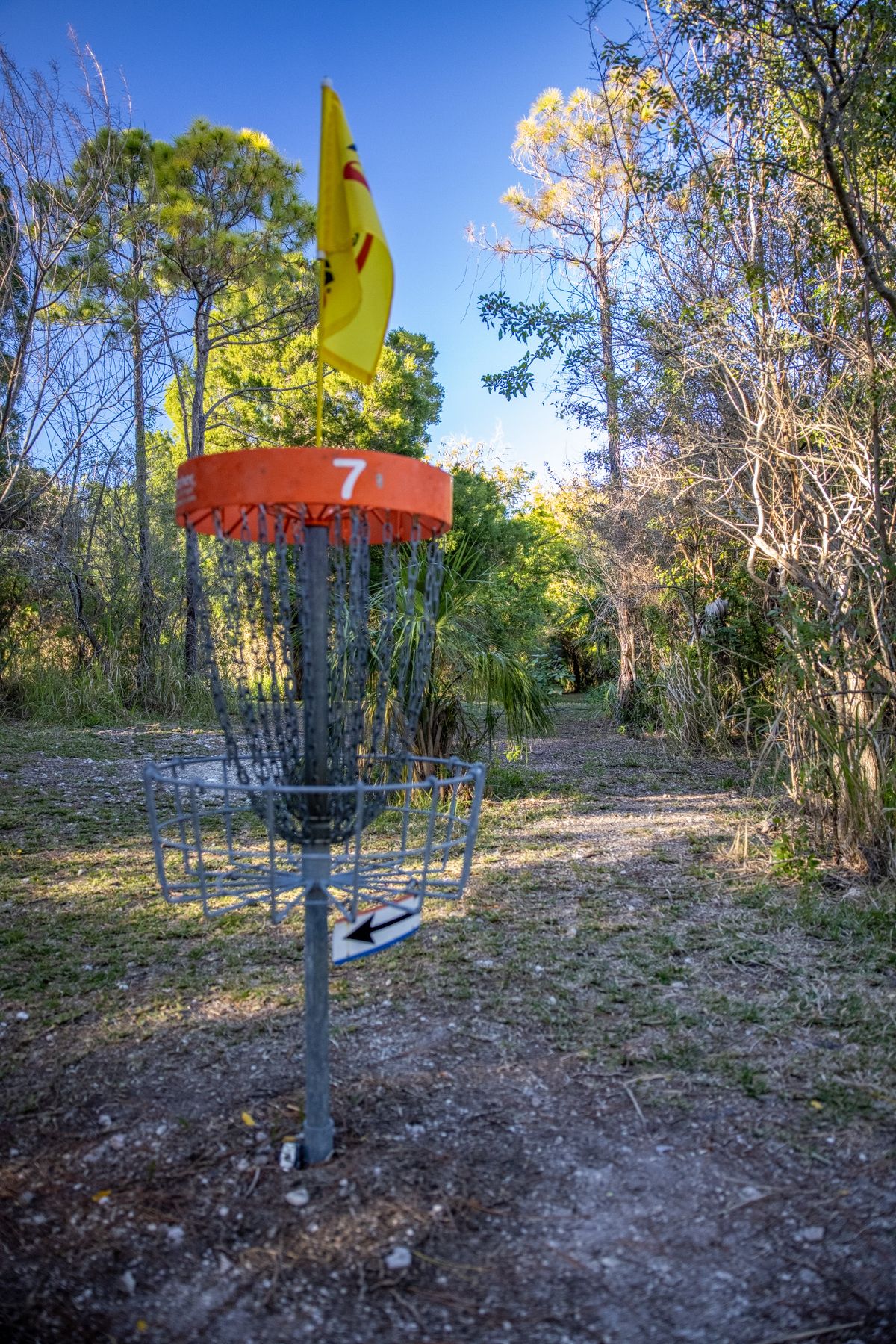 Hole 7 basket.