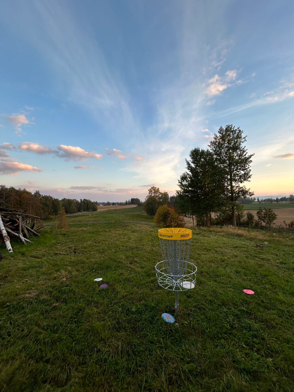 Hole 6 basket
