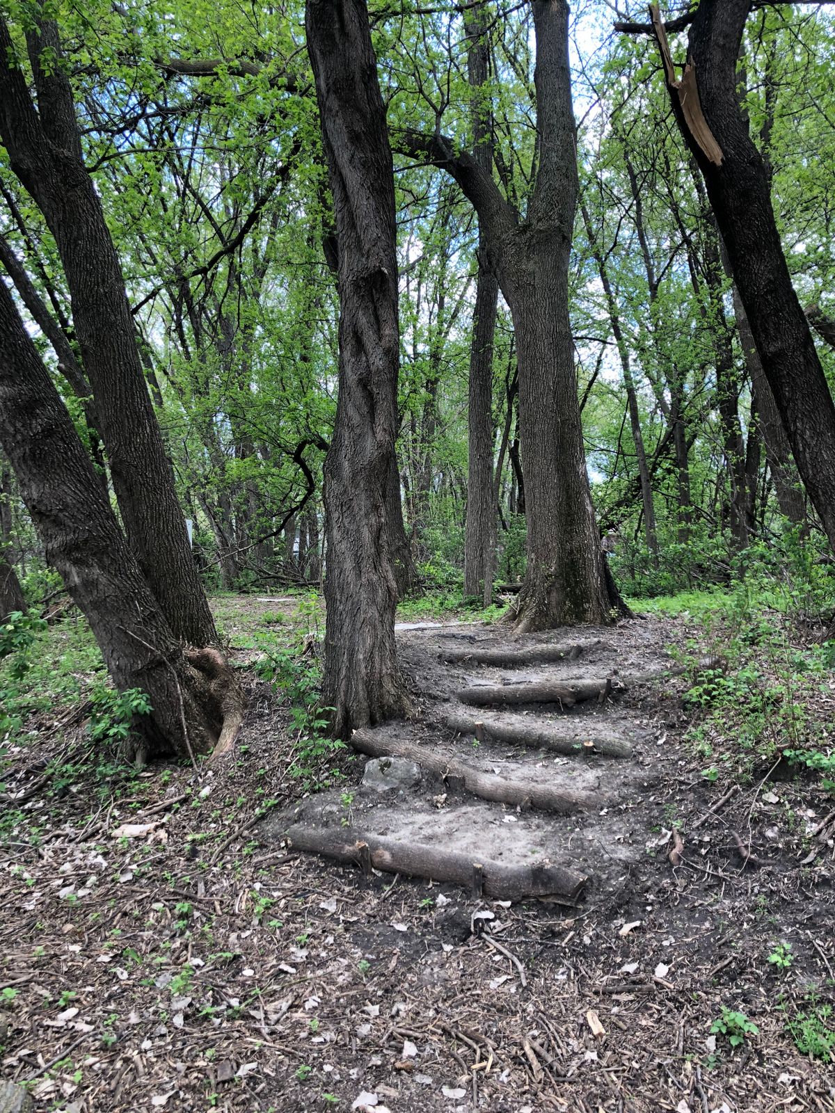 Stairs down from tee 4