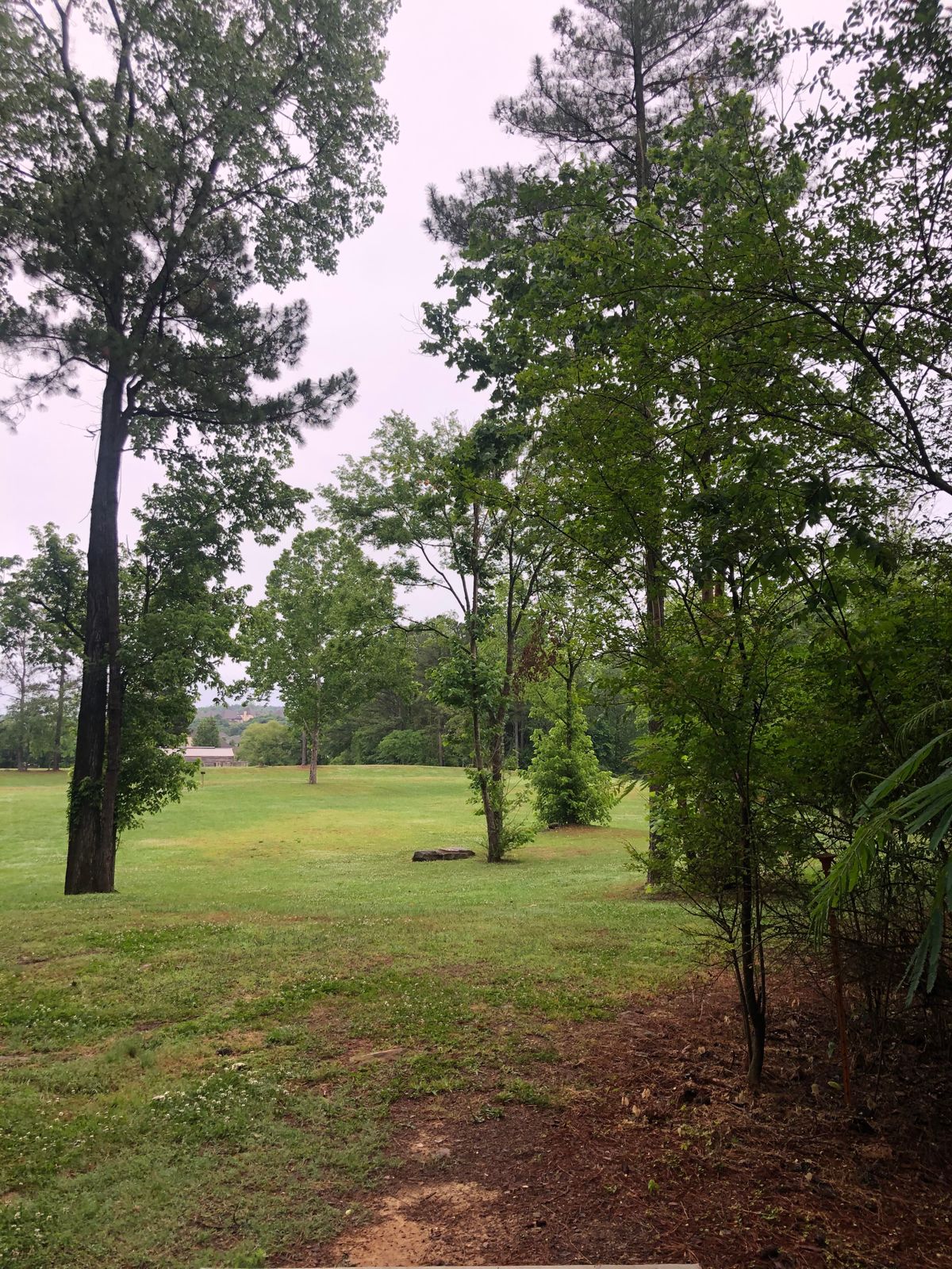 Hole 10