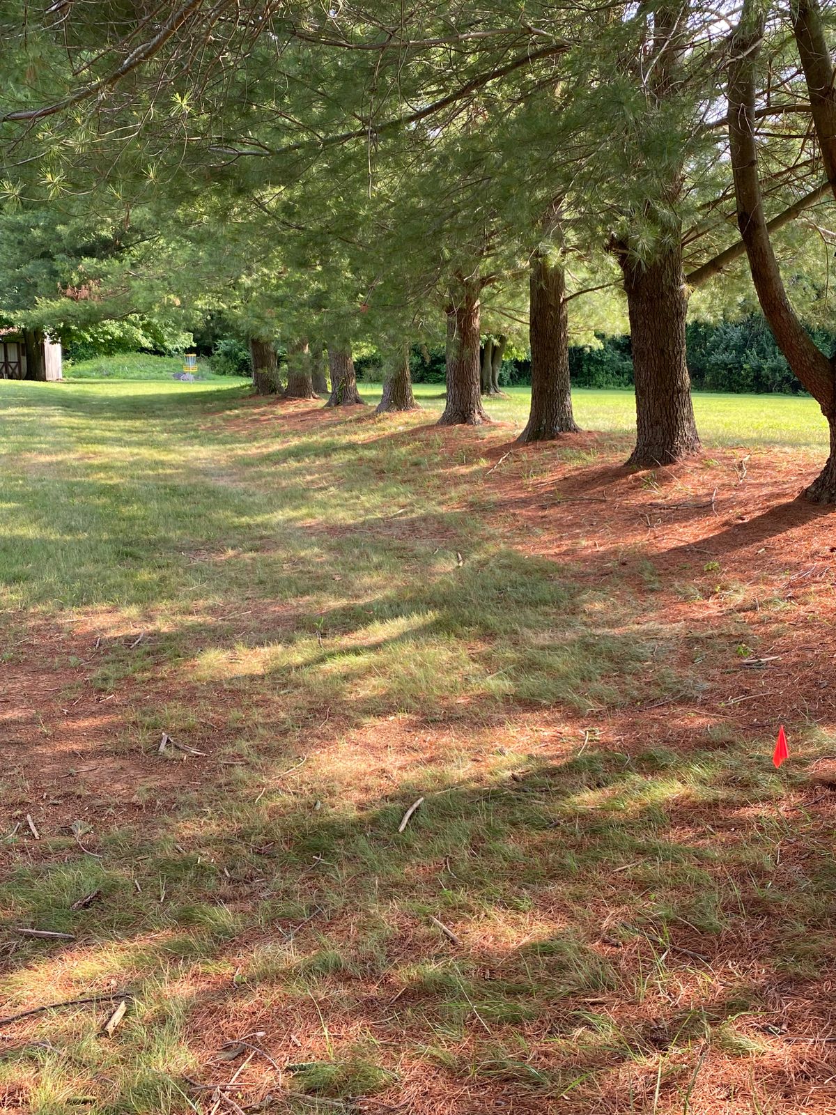 Hole 1 Tee