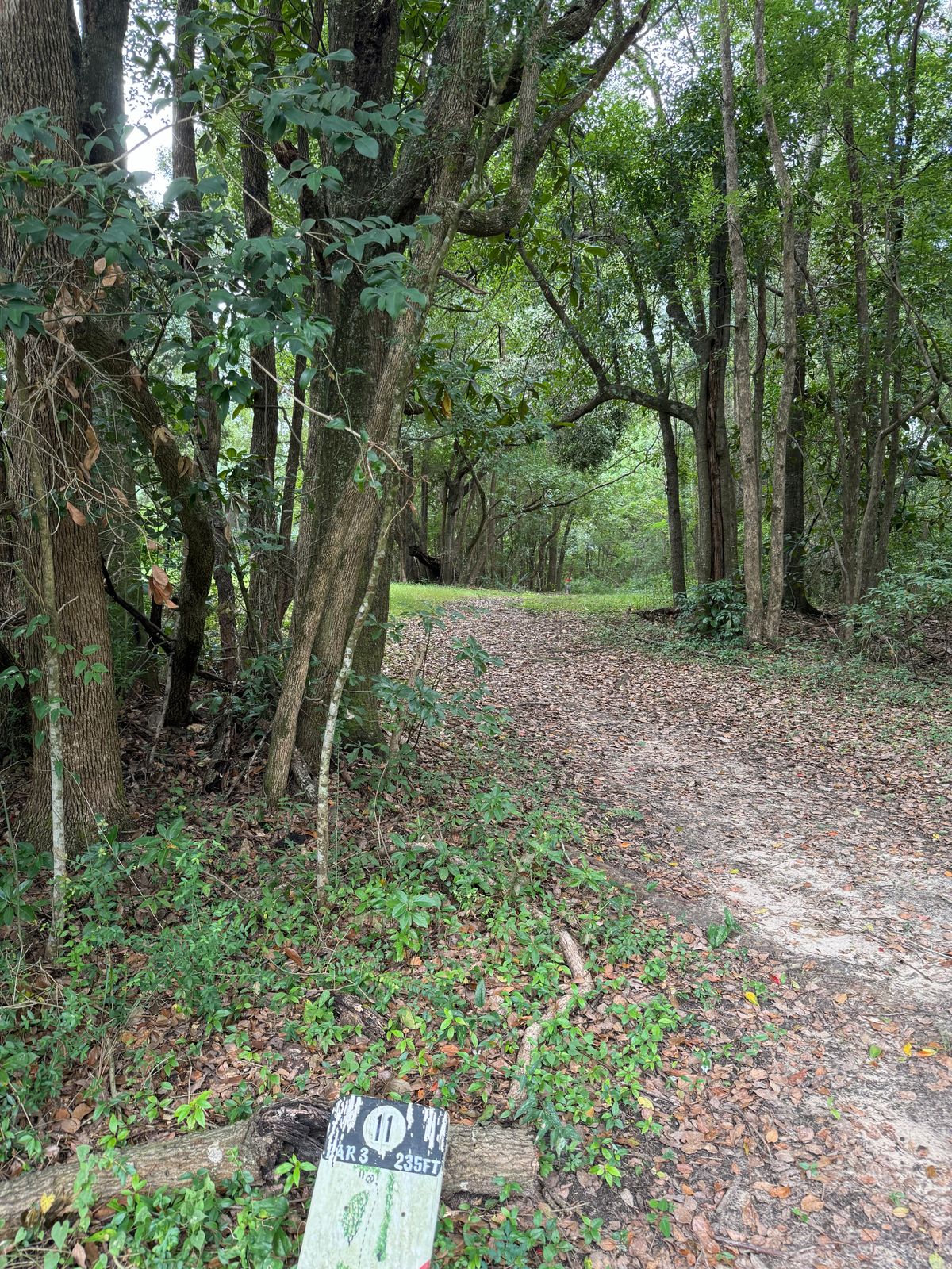 Hole 11 tee