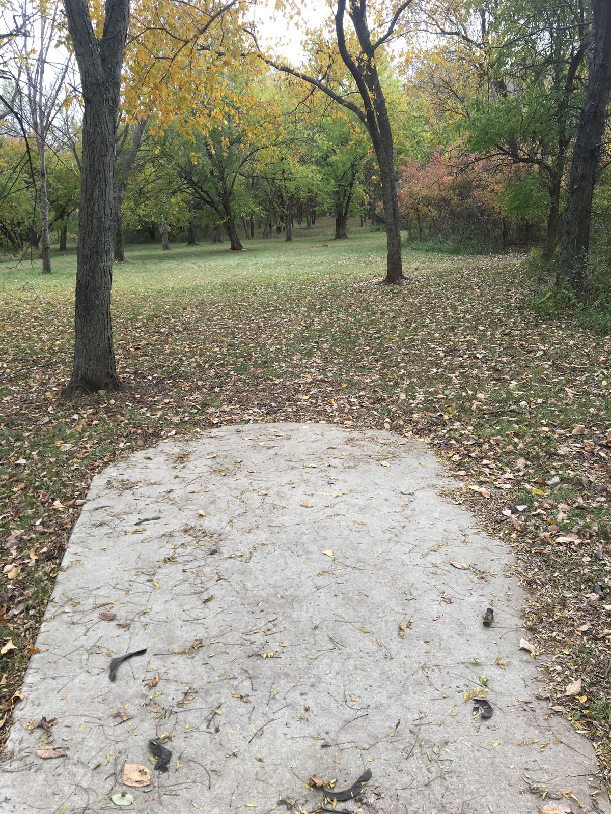 Hole 2 Tee