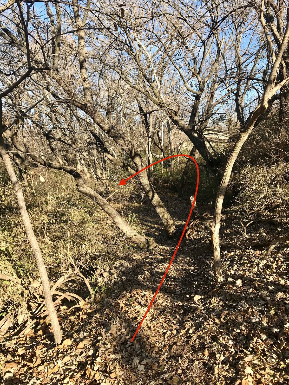 Hole 9 Tee