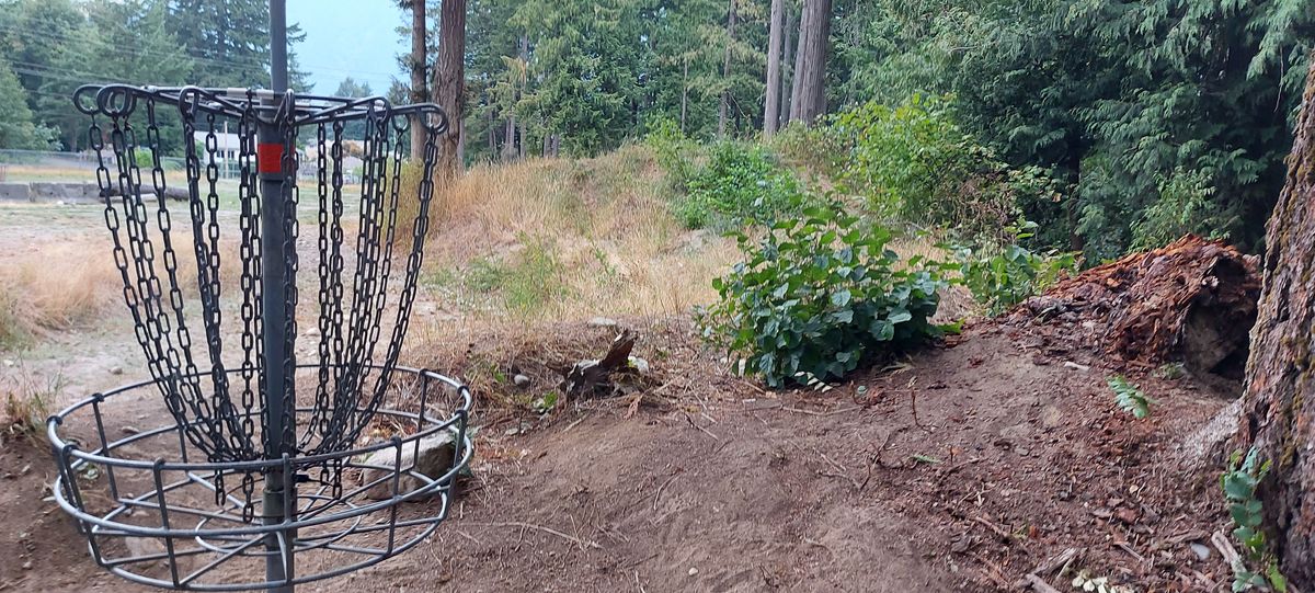 Reverse back up the fairway on hole 8a.🪵🌿🪵🍁