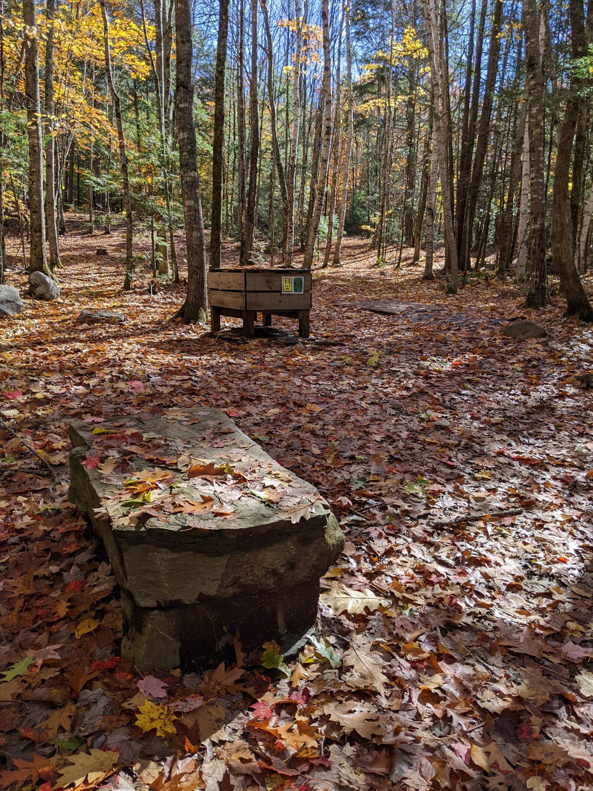 Hole 15 tee area
