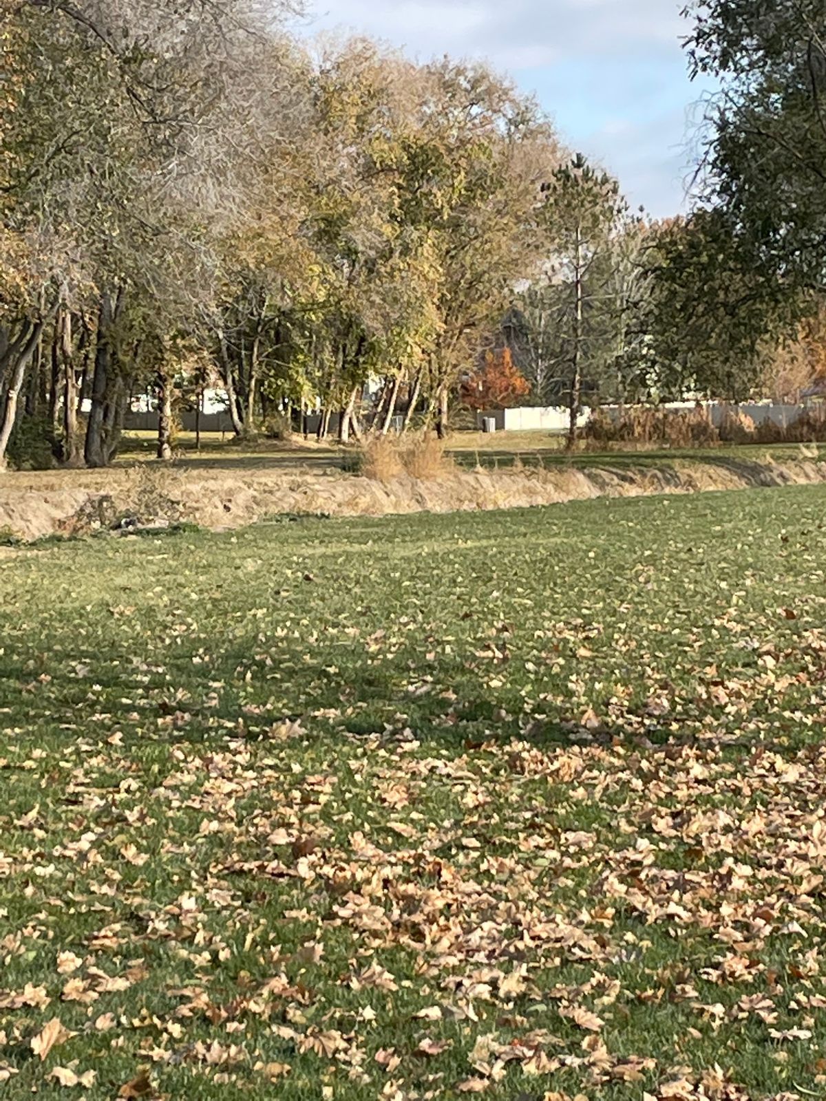 Fairway of hole 6