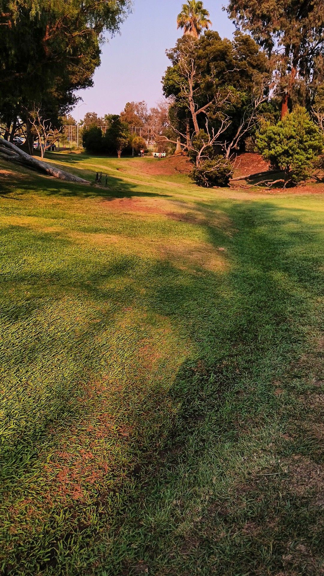 Hole 19