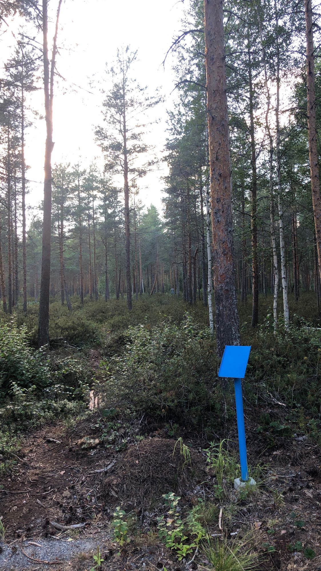 Jos haluat kiekkoja hukata niin tänne vaan. Todella epämiellyttävä.
