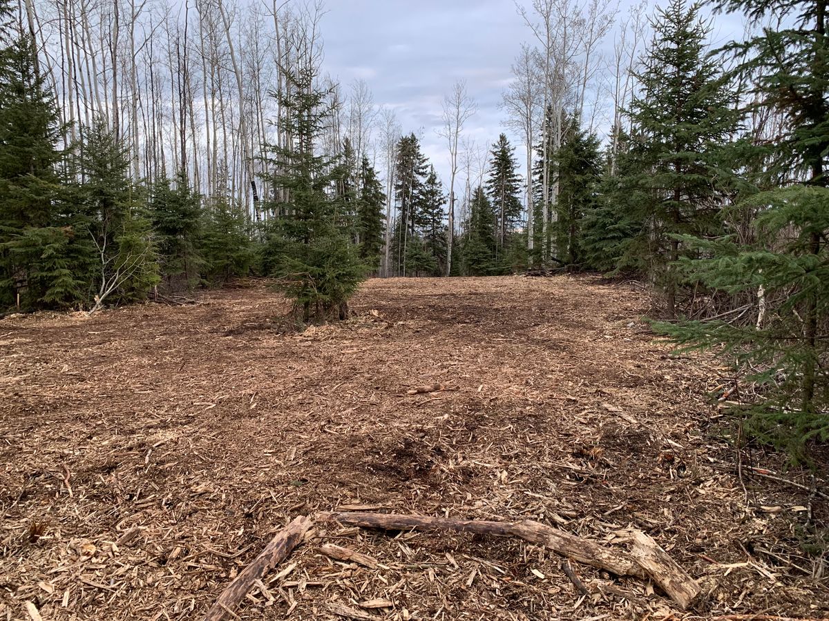 Building hole 11