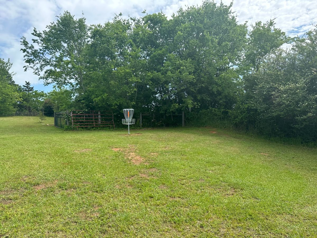 Hole 14 basket