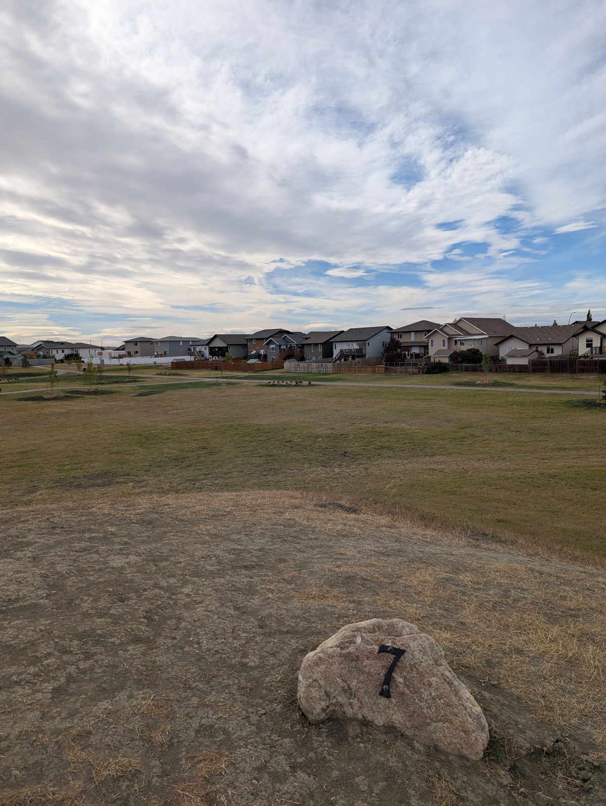 Hole 7. Downhill to the basket.